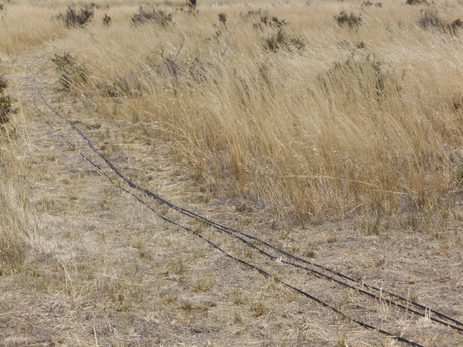 S 370