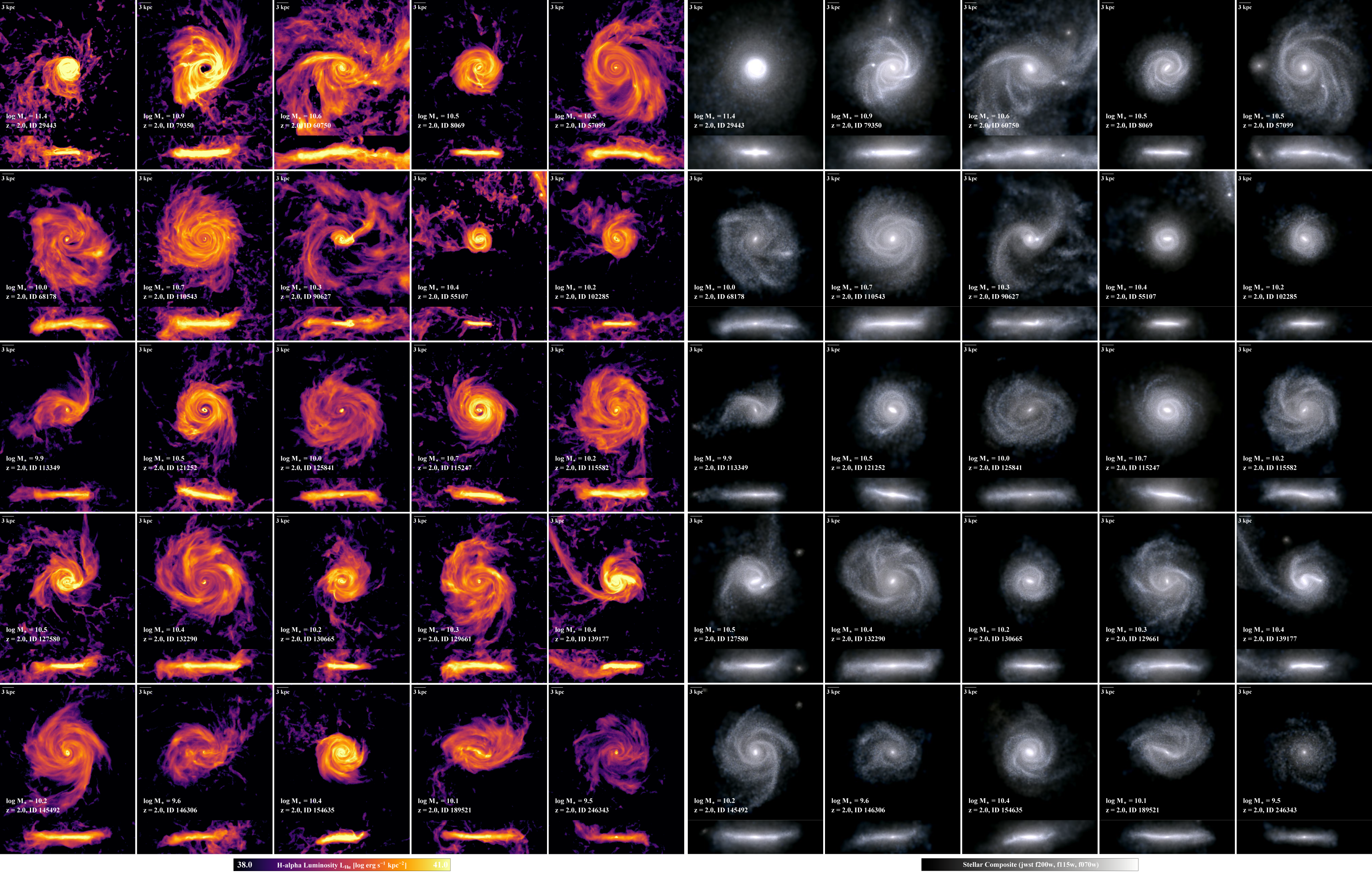 TNG50_galaxies_Halpha_starlight_z2
